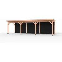 Westwood Douglas overkapping, 900 x 250, met zwarte achterwand, Comfort Plus