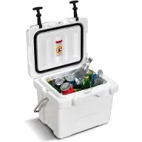 Costway Koelbox, 15 liter, draagbaar, met handvat, afvoerstop en bekerhouder, thermobox, warmtecontainer voor eten en dranken, 45 x 34 x 33 cm