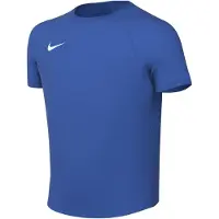 Nike Dri-FIT Park VIII Voetbalshirt Kids Blauw Wit