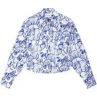 Fabienne Chapot Blouse blauw / wit