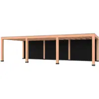 Westwood Douglas overkapping, 900 x 400, met zwarte achterwand, Modern Plus