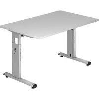 Hjh OFFICE PRO MEGA 12 S - 120x80 Grijs/Zilver Tafelhoogte I In hoogte verstelbaar