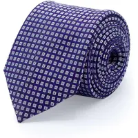 Gents - Stropdas - Stropdas heren - Zijde - Paars