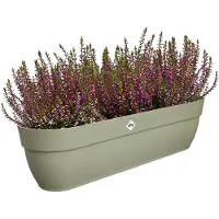 Elho Vibia Campana Easy Hanger XXL 70 - Plantenbak voor Balkon - Balkonbak - 100% Gerecycled Plastic - L69 x B26.8 x H23.7 cm - Pistachegroen