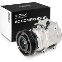 RIDEX 447K0565 Aircopomp