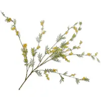 Silk-ka Kunstbloem-Zijden Bloem Mimosa Tak Geel-Groen 122 cm
