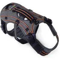 EQDOG Hondentuig Pro Harness Oranje Maat XS