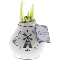 QFB Gardening Wax Amaryllis Crafts Delfts Blauw Windmill | Prachtige Wax Amaryllis voor in