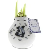 QFB Gardening Wax Amaryllis Crafts Delfts Blauw Kiss | Prachtige Wax Amaryllis voor in huis |