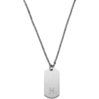 Lucleon Zilverkleurige Stalen Ketting met Sterrenbeeld Vissen