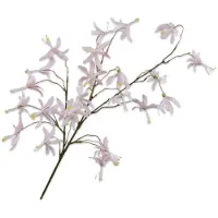 Silk-ka Kunstbloem-Zijden Bloem Orchidee Tak Crème 99 cm