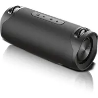 PEAQ Zwarte Draagbare Speaker (ppa 502)