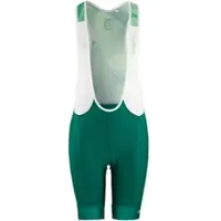 Craft ADV Endur Bib fietsshort, heren, groen - Maat XL -