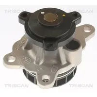 TRISCAN 8600 10092 Waterpomp