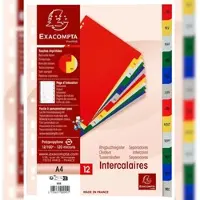 Exacompta 20x Tabbladen met bedrukte tabs in gekleurde PP - 12 tabs - januari/december- A4 - Geassorteerd - 95E