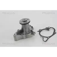 TRISCAN 8600 43010 Waterpomp