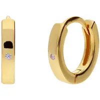 Lucardi Oorbellen goud