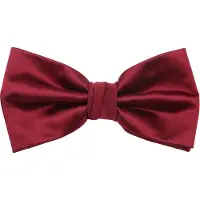 Suitable Satijnen Strik Bordeaux -