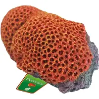 Boon Ornament Reef Flower Rood/Geel 18X11 Cm
