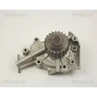 TRISCAN 8600 21003 Waterpomp