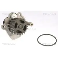TRISCAN 8600 29041 Waterpomp