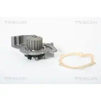 TRISCAN 8600 10009 Waterpomp