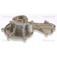 TRISCAN 8600 29096 Waterpomp