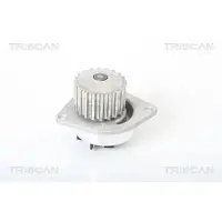 TRISCAN 8600 10002 Waterpomp