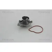 TRISCAN 8600 10032 Waterpomp