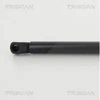 TRISCAN 8710 292041 Gasveer achterklep