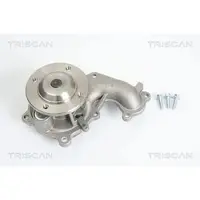 TRISCAN 8600 16010 Waterpomp