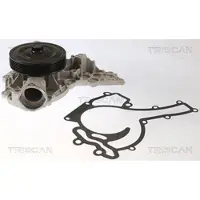 TRISCAN 8600 23094 Waterpomp