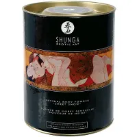 Shunga – Sensuele Poeder – Honing