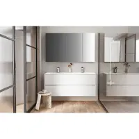 Boss & Wessing Spiegelkast BWS Hayat 3 Assymetrische Deuren 120x70x15cm Mat Zwart
