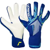 Reusch Fastgrip Advance Goalkeeper Gloves Blauw 10