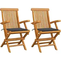 Syfax Inklapbare stoelen 2 st met antracietkleurige kussens