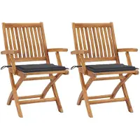 Syfax Inklapbare stoelen 2 st met antracietkleurige kussens