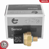 ESEN SKV 95SKV144 Brandstofdruksensor