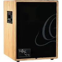 Ortega CONE-ASH Amplifier Combo EU Ash akoestische gitaarversterker