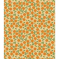 Bink Bedding Tafelkleed - Tafelzeil Juicy - PVC 250 x 140 cm - afneembaar - feest - feestdecoratie - kinderfeestje - verjaardag - buiten eten