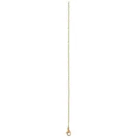 Ixxxi Ketting 1 mm Goud 50 cm