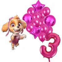 Amscan Paw Patrol Skye ballonnen pakket - 61x91cm - Folie Ballon set - Themafeest - Verjaardag - 3 jaar - Ballonnen - Versiering - Helium ballon