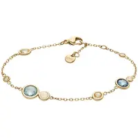 Skagen SKJ1896710 Dames Armband (sieraad) 16.50 cm - Goudkleurig