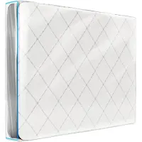 Dreamzie Plastic Beschermhoes voor Matras 200x200 cm (Dikte 30 cm) - Matrasbeschermhoes met Grote Rits - Opbergtas - Bestendig en Herbruikbaar