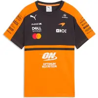 Puma Functioneel shirt mandarijn / zwart