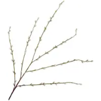 Silk-ka Kunsttak Wilg Groen H 111 Cm
