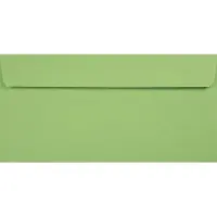 Netuno Gladde groene enveloppen DL - 110 x 220 mm - 100 stuks - HK zelfklevend met plakstrip - 120 gram - Kreative -