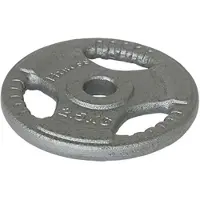 Softee Iron Plate 25kg Zilver