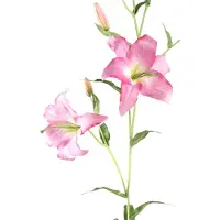 Ptmd kunstbloem lily - 61x48x132cm