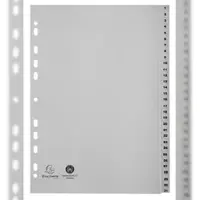 Exacompta 20x Tabbladen met bedrukte tabs in gerecycled PP - 31 tabs -1 tot 31 - A4 - Grijs - 1931E